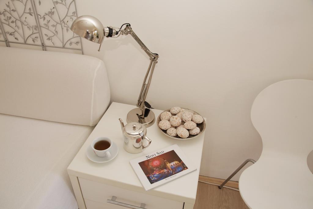 Apartment Spacious Liman Novi Sad Bagian luar foto