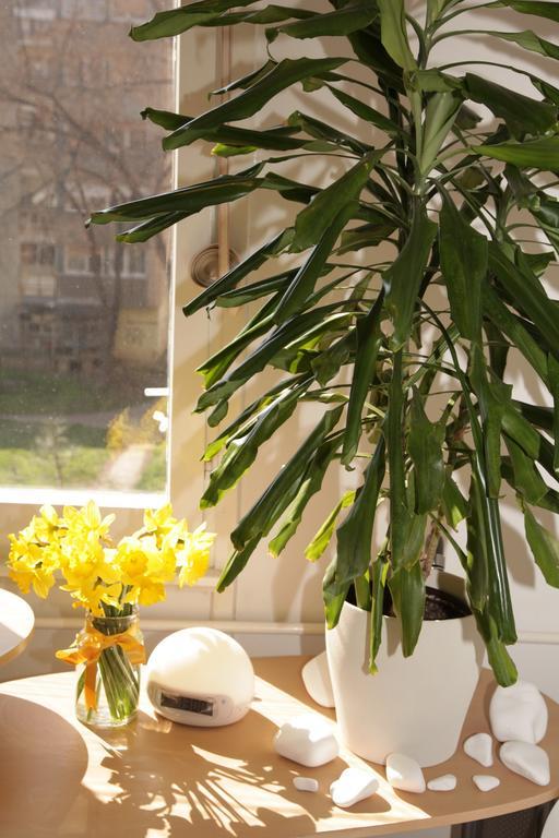 Apartment Spacious Liman Novi Sad Bagian luar foto