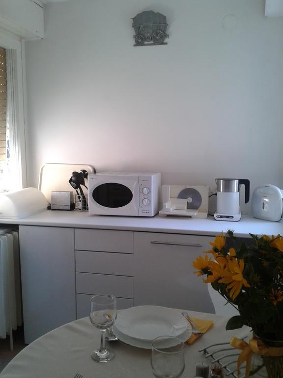 Apartment Spacious Liman Novi Sad Bagian luar foto