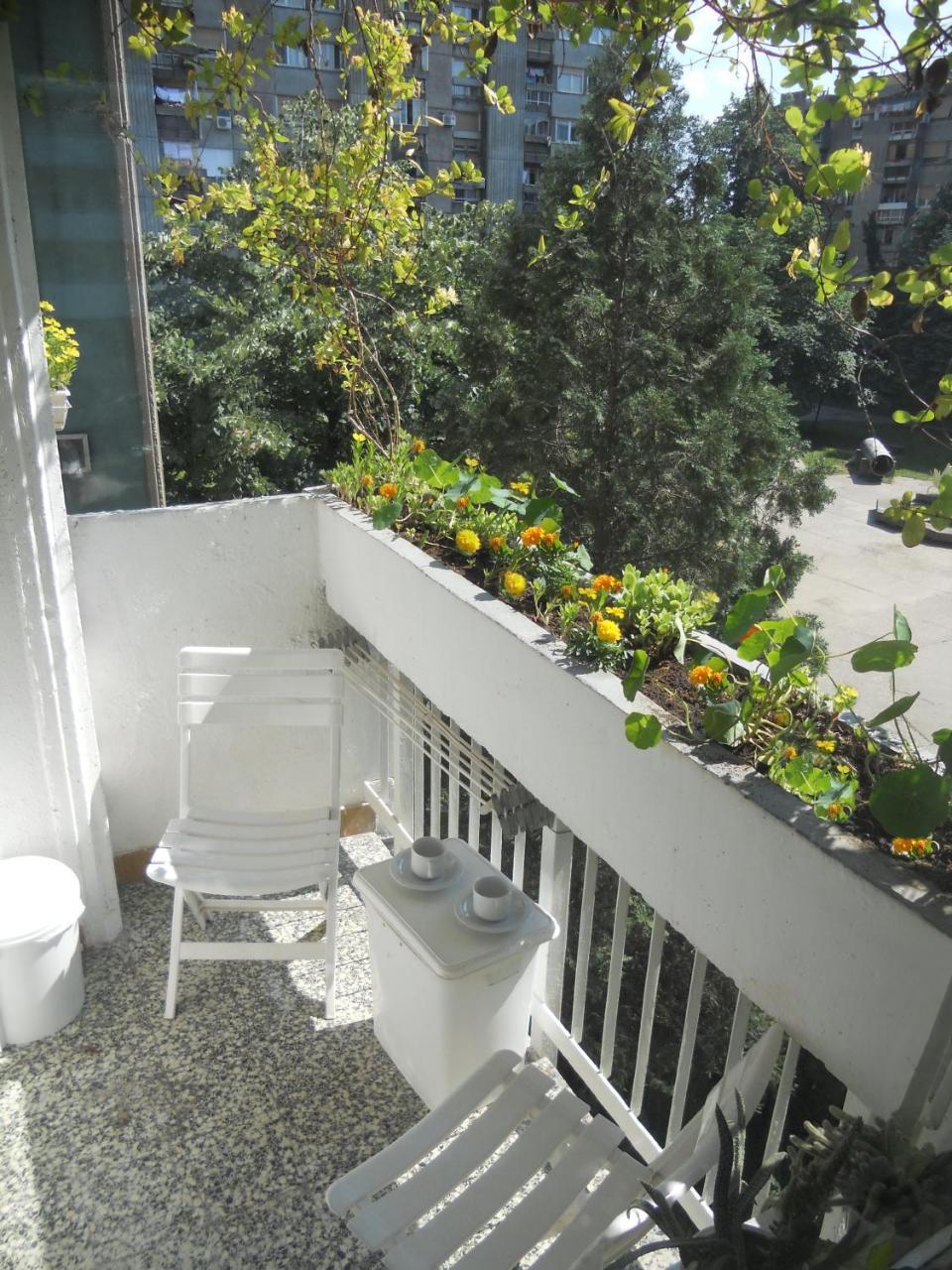 Apartment Spacious Liman Novi Sad Bagian luar foto
